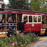 Trolley Tours