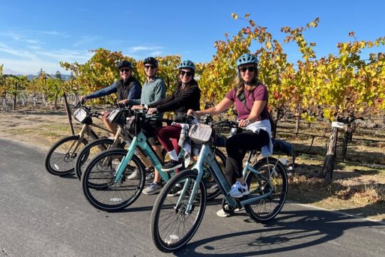 Healdsburg Cycling Wine Tour