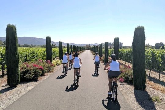 Sonoma Valley Bike and Wine Tour (E-bike or Regular)