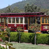 Trolley Tours