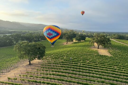 Wine Country Join-in Flight