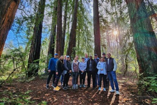 Napa Valley Redwood Hike