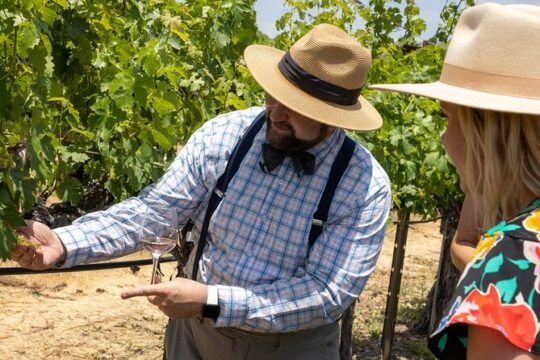 Napa Cable Car Wine Tasting Tour