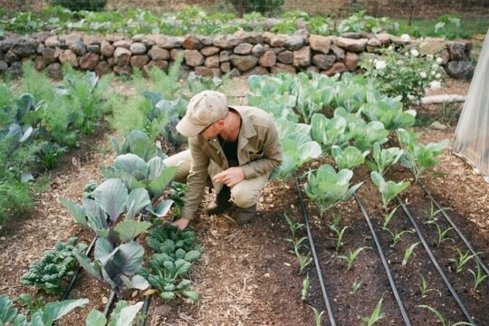 Private Farm Workshop in Napa Valley