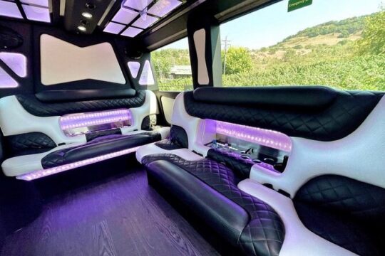 6hr | 7 Passenger Mercedes Sprinter Limo Van Private Tour